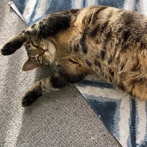 Meet your Posher, June